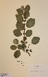  ( - H032895)  @11 [ ] Unspecified (default): All Rights Reserved  Unspecified Unspecified