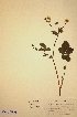  ( - H046147)  @11 [ ] Unspecified (default): All Rights Reserved  Unspecified Unspecified