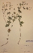  ( - H053065)  @11 [ ] Unspecified (default): All Rights Reserved  Unspecified Unspecified