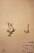 ( - H074069)  @11 [ ] Unspecified (default): All Rights Reserved  Unspecified Unspecified