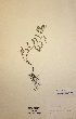  ( - H122088)  @11 [ ] Unspecified (default): All Rights Reserved  Unspecified Unspecified