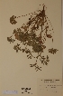  ( - H122940)  @11 [ ] Unspecified (default): All Rights Reserved  Unspecified Unspecified