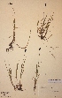  ( - H127173)  @11 [ ] Unspecified (default): All Rights Reserved  Unspecified Unspecified