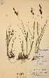  ( - H127973)  @11 [ ] Unspecified (default): All Rights Reserved  Unspecified Unspecified