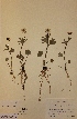  ( - H144798)  @11 [ ] Unspecified (default): All Rights Reserved  Unspecified Unspecified