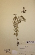  ( - H156731)  @11 [ ] Unspecified (default): All Rights Reserved  Unspecified Unspecified