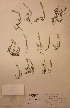  ( - H168637)  @11 [ ] Unspecified (default): All Rights Reserved  Unspecified Unspecified