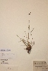  ( - H175597)  @11 [ ] Unspecified (default): All Rights Reserved  Unspecified Unspecified