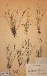  ( - H177299)  @11 [ ] Unspecified (default): All Rights Reserved  Unspecified Unspecified