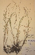  ( - H185634)  @11 [ ] Unspecified (default): All Rights Reserved  Unspecified Unspecified