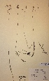  ( - H187342)  @11 [ ] Unspecified (default): All Rights Reserved  Unspecified Unspecified