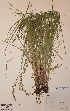  ( - H189152)  @11 [ ] Unspecified (default): All Rights Reserved  Unspecified Unspecified