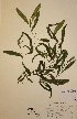  ( - H207133)  @11 [ ] Unspecified (default): All Rights Reserved  Unspecified Unspecified