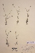  ( - H222801)  @11 [ ] Unspecified (default): All Rights Reserved  Unspecified Unspecified