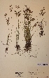  ( - H225749)  @11 [ ] Unspecified (default): All Rights Reserved  Unspecified Unspecified