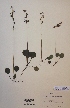  ( - H227747)  @11 [ ] Unspecified (default): All Rights Reserved  Unspecified Unspecified