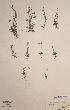  ( - H238415)  @11 [ ] Unspecified (default): All Rights Reserved  Unspecified Unspecified