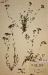 ( - H243873)  @11 [ ] Unspecified (default): All Rights Reserved  Unspecified Unspecified