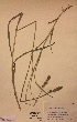  ( - H278876)  @11 [ ] Unspecified (default): All Rights Reserved  Unspecified Unspecified