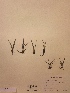  ( - H290416)  @11 [ ] Unspecified (default): All Rights Reserved  Unspecified Unspecified