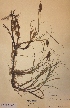  ( - H291115)  @11 [ ] Unspecified (default): All Rights Reserved  Unspecified Unspecified
