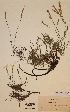  ( - H353349)  @11 [ ] Unspecified (default): All Rights Reserved  Unspecified Unspecified