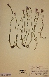  ( - H353906)  @11 [ ] Unspecified (default): All Rights Reserved  Unspecified Unspecified