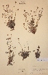  ( - H373193)  @11 [ ] Unspecified (default): All Rights Reserved  Unspecified Unspecified