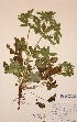  ( - H373331)  @11 [ ] Unspecified (default): All Rights Reserved  Unspecified Unspecified