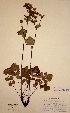  ( - H374310)  @11 [ ] Unspecified (default): All Rights Reserved  Unspecified Unspecified