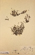  ( - H384607)  @11 [ ] Unspecified (default): All Rights Reserved  Unspecified Unspecified