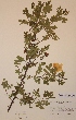  ( - H387351)  @11 [ ] Unspecified (default): All Rights Reserved  Unspecified Unspecified