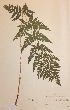  ( - H411894)  @11 [ ] Unspecified (default): All Rights Reserved  Unspecified Unspecified