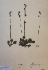  ( - H413357)  @11 [ ] Unspecified (default): All Rights Reserved  Unspecified Unspecified