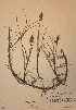  ( - H423800)  @11 [ ] Unspecified (default): All Rights Reserved  Unspecified Unspecified