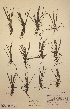  ( - H434012)  @11 [ ] Unspecified (default): All Rights Reserved  Unspecified Unspecified