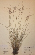  ( - H435957)  @11 [ ] Unspecified (default): All Rights Reserved  Unspecified Unspecified