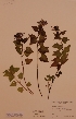  ( - H436013)  @11 [ ] Unspecified (default): All Rights Reserved  Unspecified Unspecified