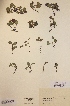  ( - H437502)  @11 [ ] Unspecified (default): All Rights Reserved  Unspecified Unspecified