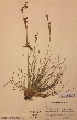  ( - H438033)  @11 [ ] Unspecified (default): All Rights Reserved  Unspecified Unspecified