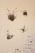  ( - H439146)  @11 [ ] Unspecified (default): All Rights Reserved  Unspecified Unspecified