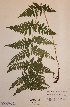  ( - H439917)  @11 [ ] Unspecified (default): All Rights Reserved  Unspecified Unspecified