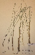  ( - H446433)  @11 [ ] Unspecified (default): All Rights Reserved  Unspecified Unspecified