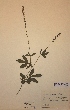  ( - H468769)  @11 [ ] Unspecified (default): All Rights Reserved  Unspecified Unspecified