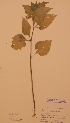  ( - H482864)  @11 [ ] Unspecified (default): All Rights Reserved  Unspecified Unspecified