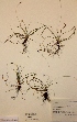  ( - H483911)  @11 [ ] Unspecified (default): All Rights Reserved  Unspecified Unspecified