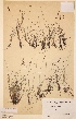  ( - H495254)  @11 [ ] Unspecified (default): All Rights Reserved  Unspecified Unspecified