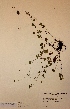  ( - H499105)  @11 [ ] Unspecified (default): All Rights Reserved  Unspecified Unspecified