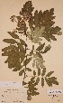  ( - H500427)  @11 [ ] Unspecified (default): All Rights Reserved  Unspecified Unspecified