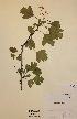  ( - H500431)  @11 [ ] Unspecified (default): All Rights Reserved  Unspecified Unspecified